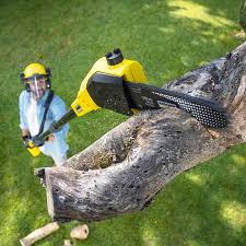 Best Aeration Services  in Chinle, AZ