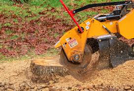 How Our Tree Care Process Works  in  Chinle, AZ